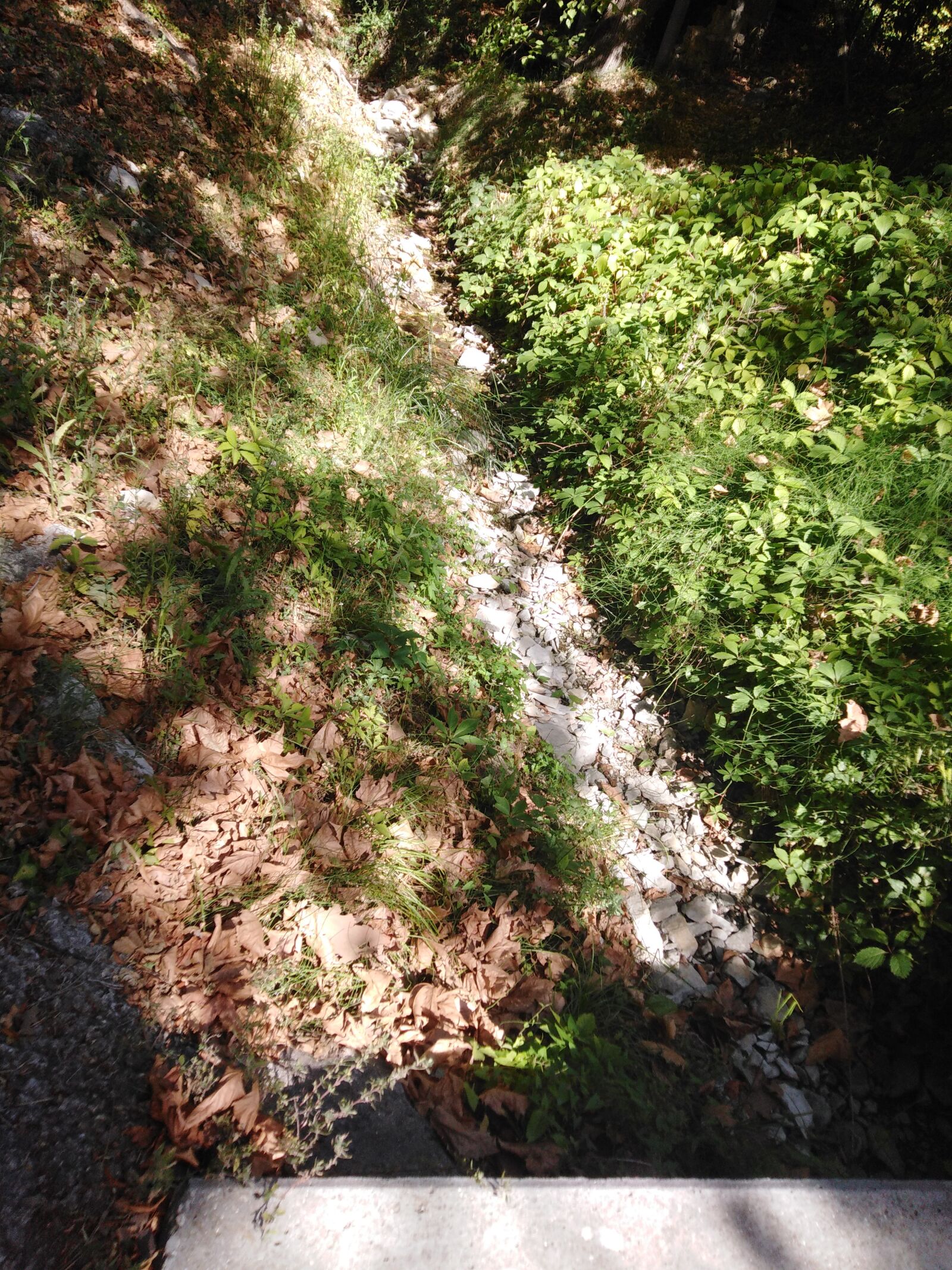 HUAWEI LDN-L21 sample photo. River, water, nature photography