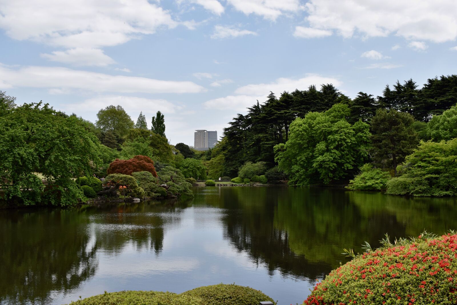 Nikon D5300 sample photo. Park, japan, tokyo photography