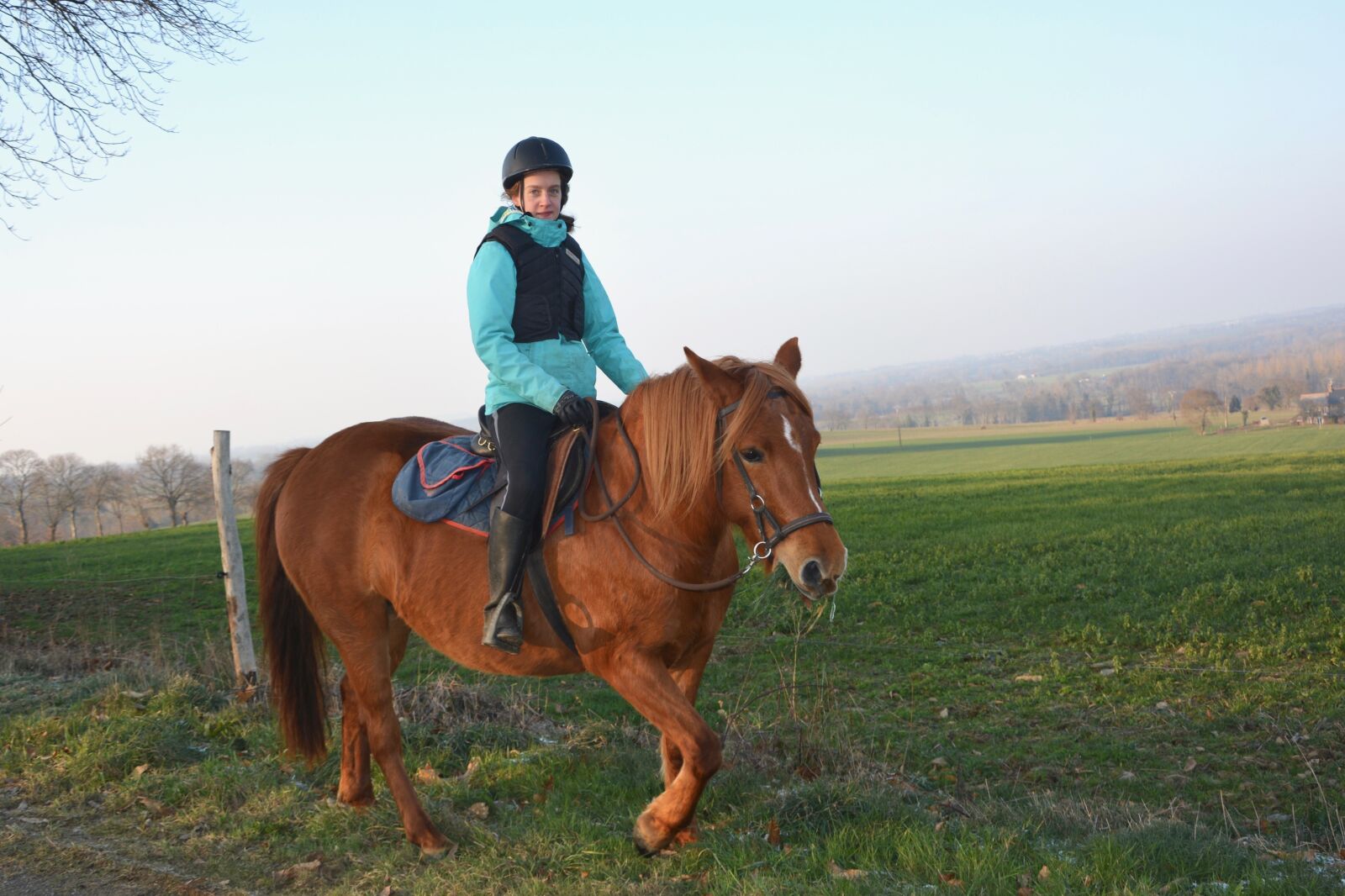 Nikon D5200 sample photo. Horse, jumper, equine photography