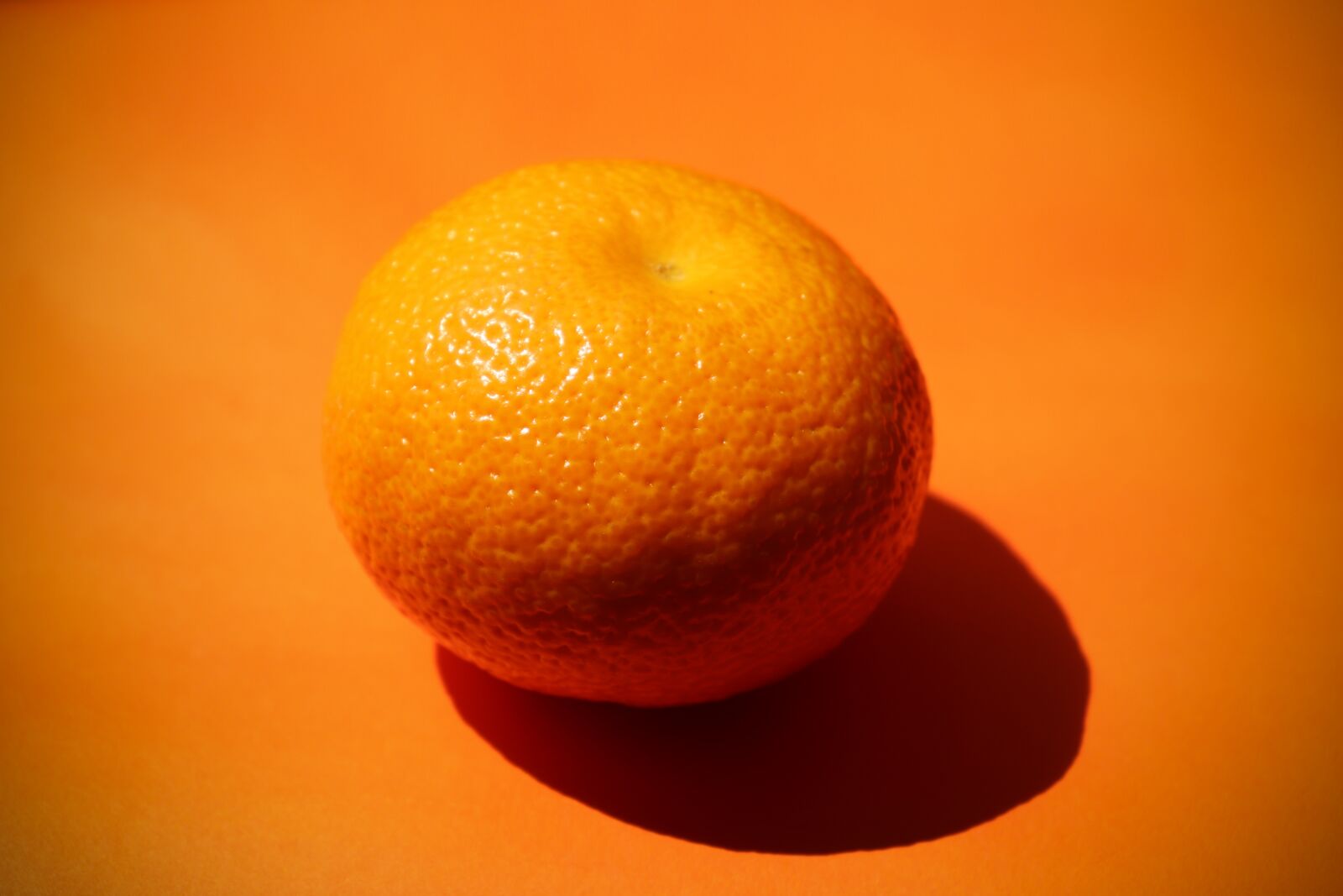 Canon EOS 77D (EOS 9000D / EOS 770D) sample photo. Orange, fruit, food photography