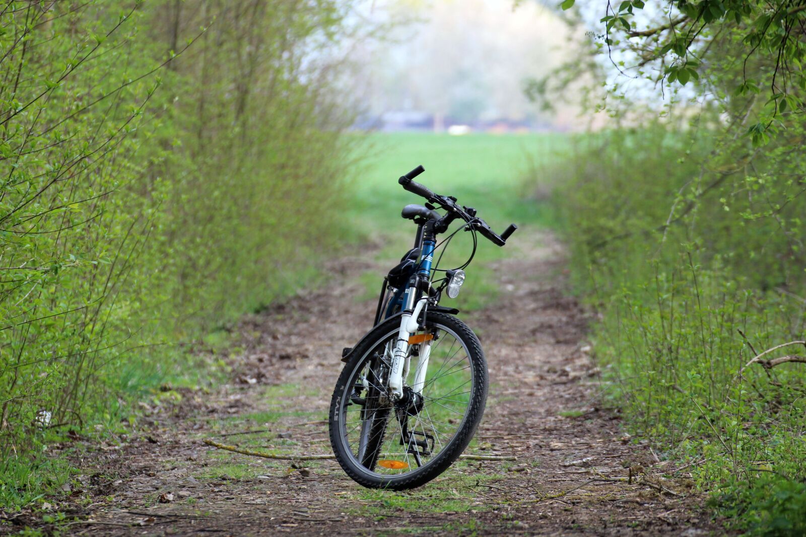 Canon EOS 100D (EOS Rebel SL1 / EOS Kiss X7) sample photo. Bike, forest path, nature photography