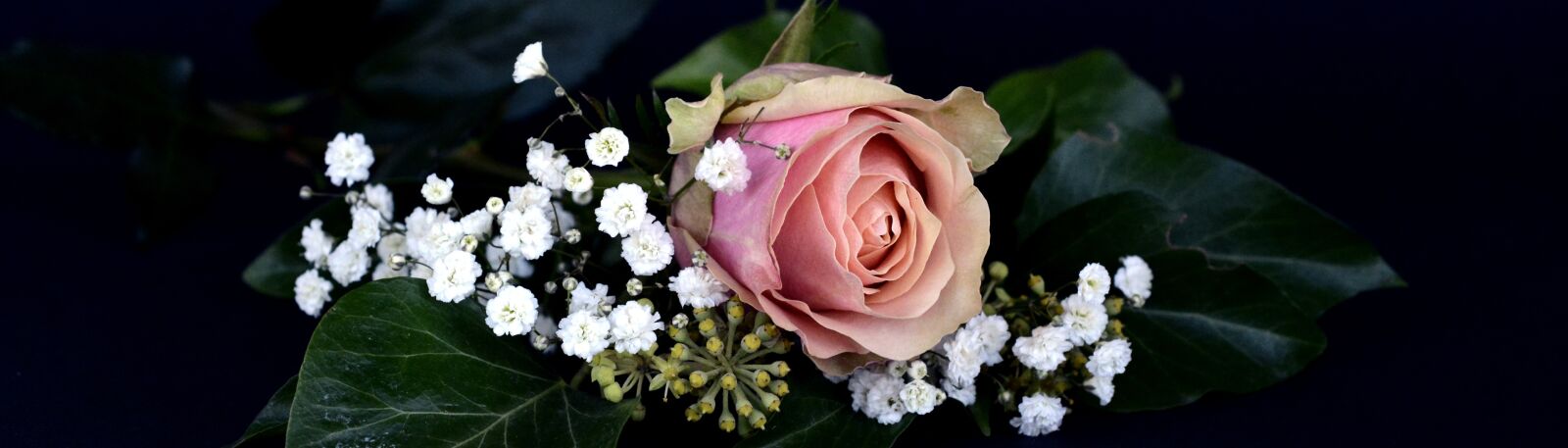 Nikon D7100 sample photo. Rose, blossom, bloom photography