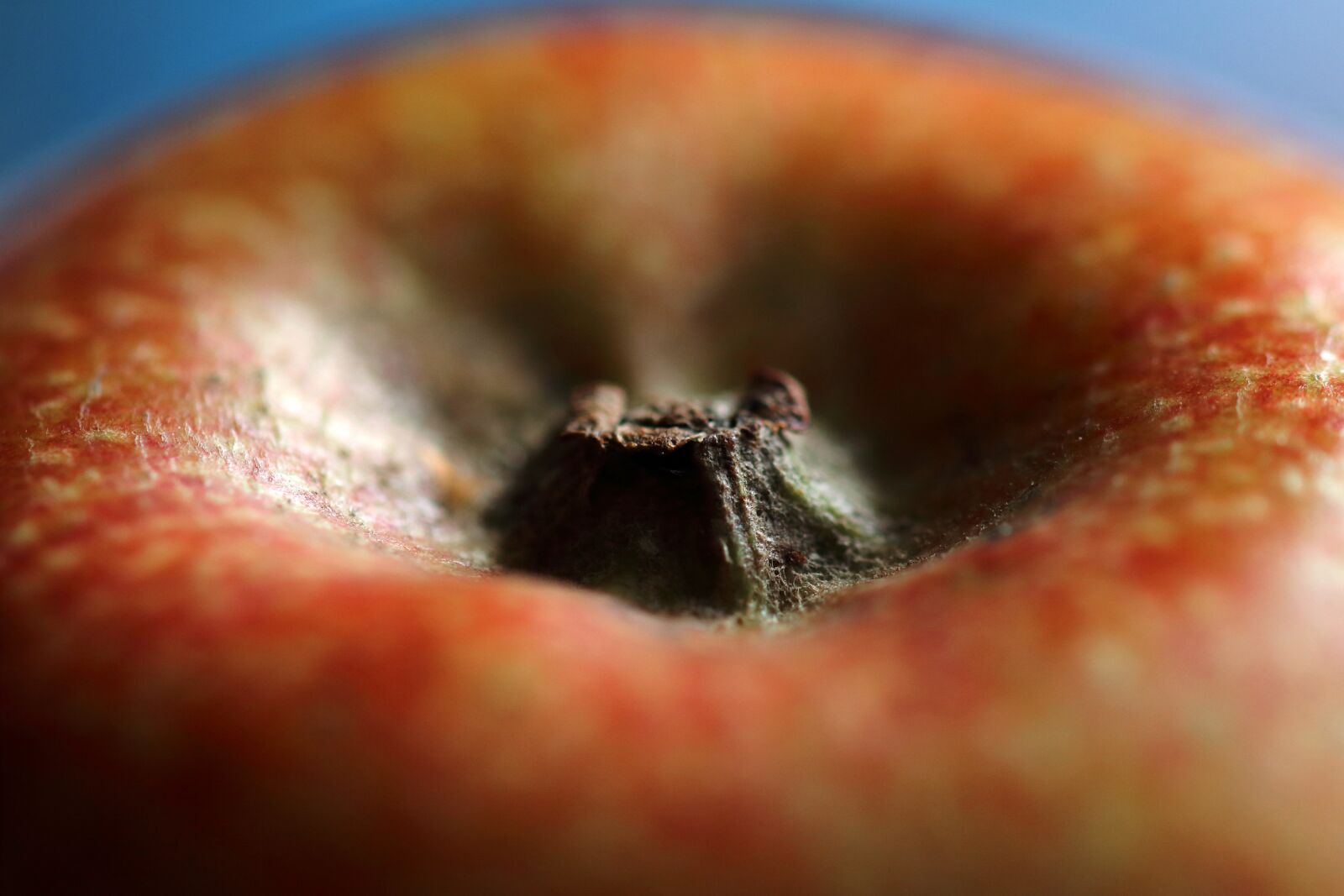 Canon EOS 80D sample photo. Apple, macro, juicy photography