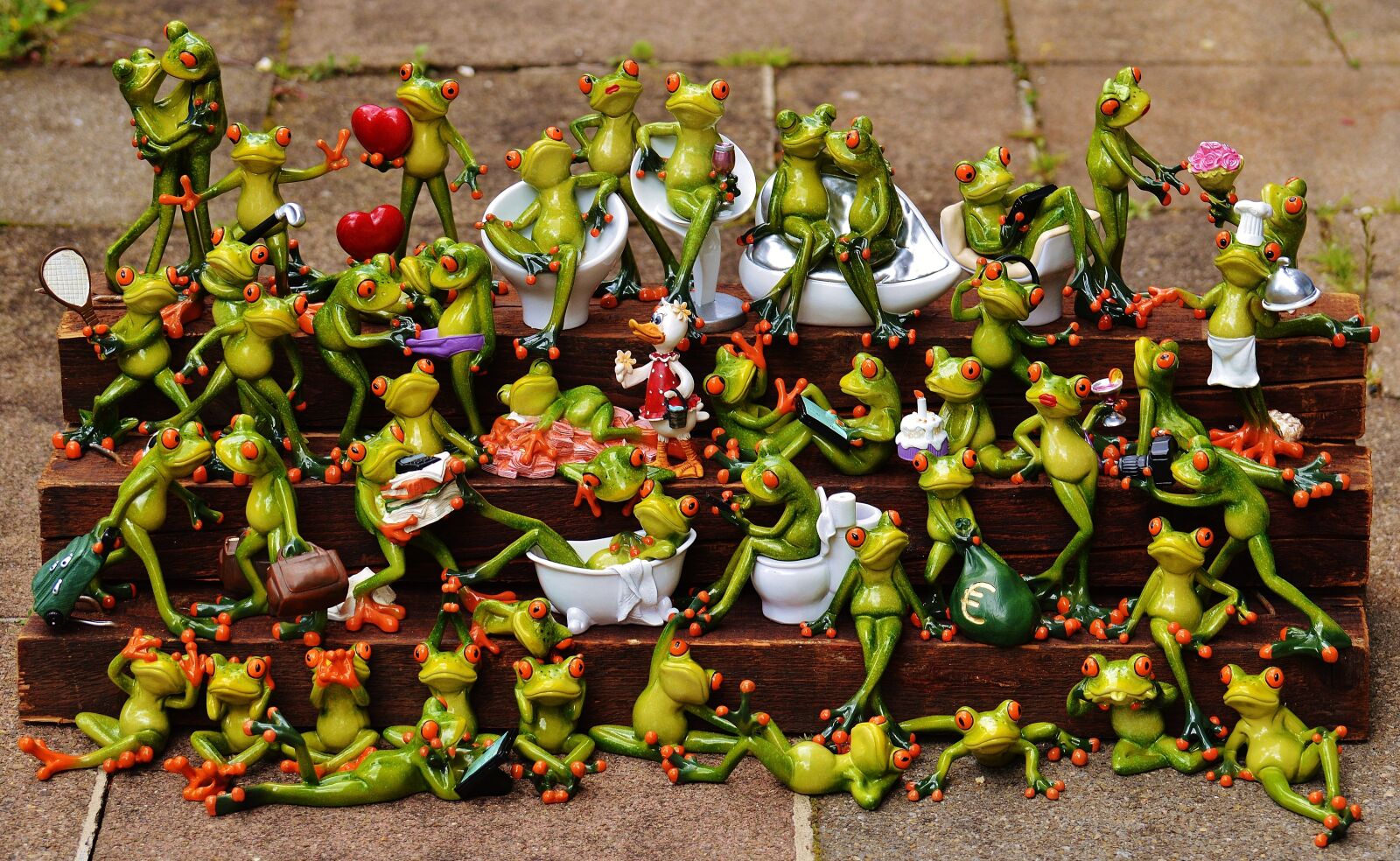Nikon D3200 sample photo. Frogs, find the error photography
