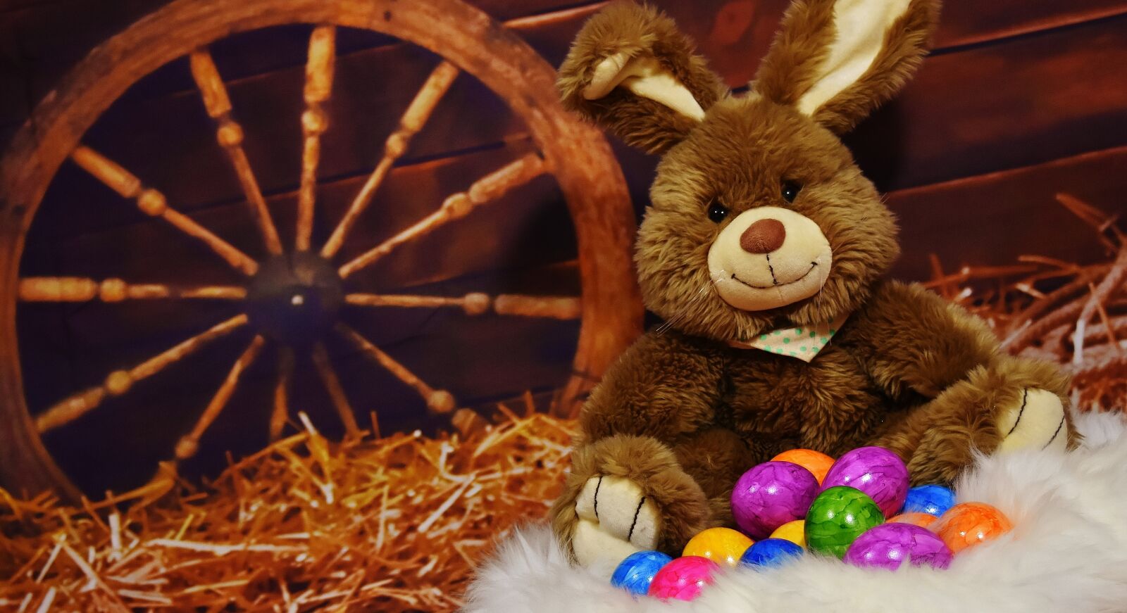 Nikon D7200 sample photo. Easter bunny, easter, plush photography