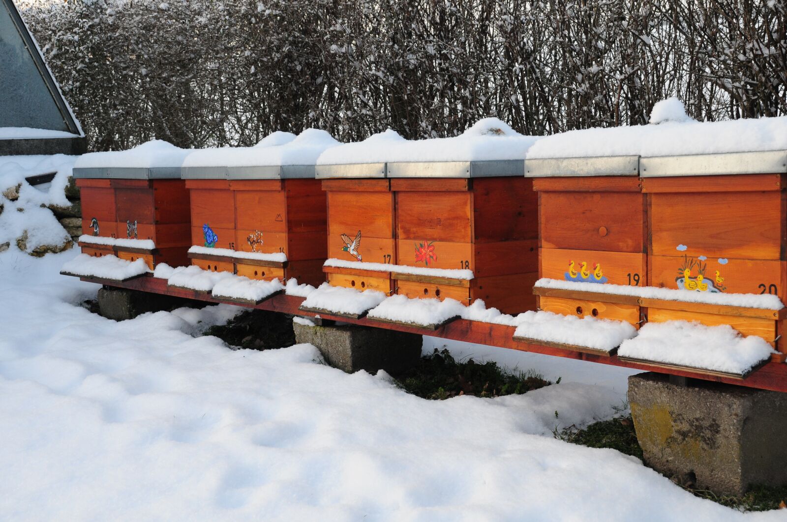 Nikon D300S sample photo. Winter, bee hives, nature photography