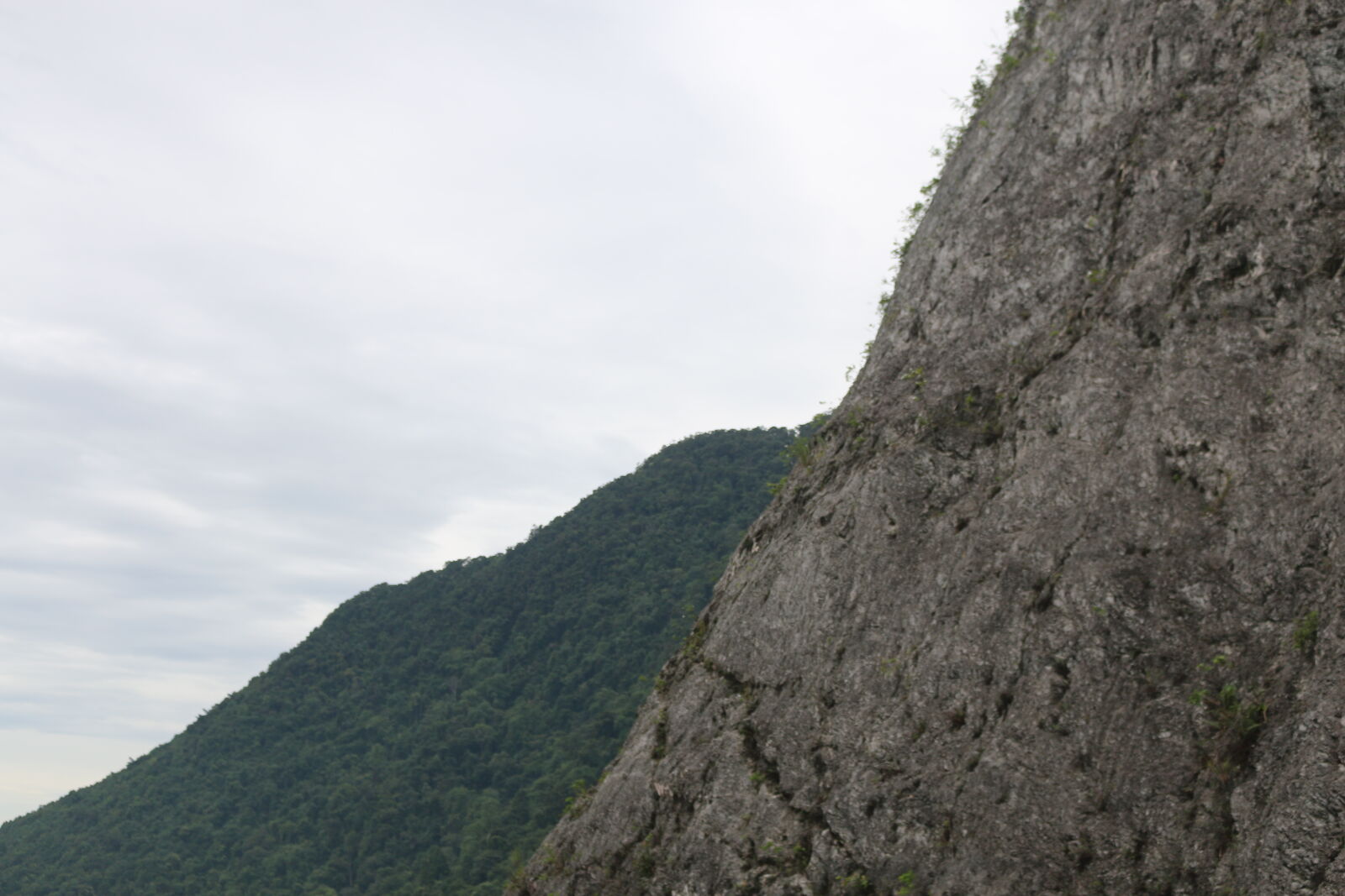 Canon EOS 70D sample photo