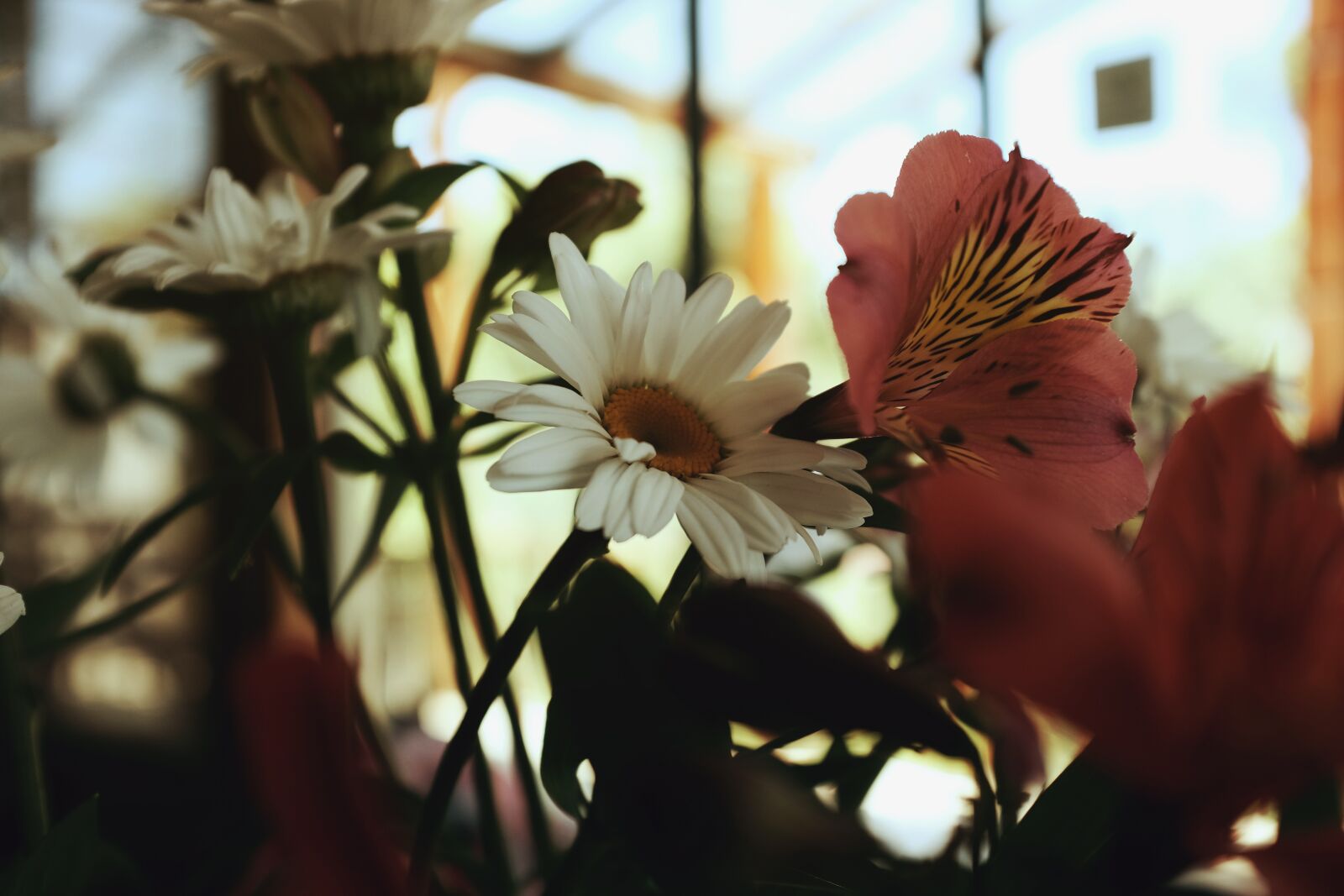 Fujifilm X100T sample photo. Bouquet, flowers, spring photography