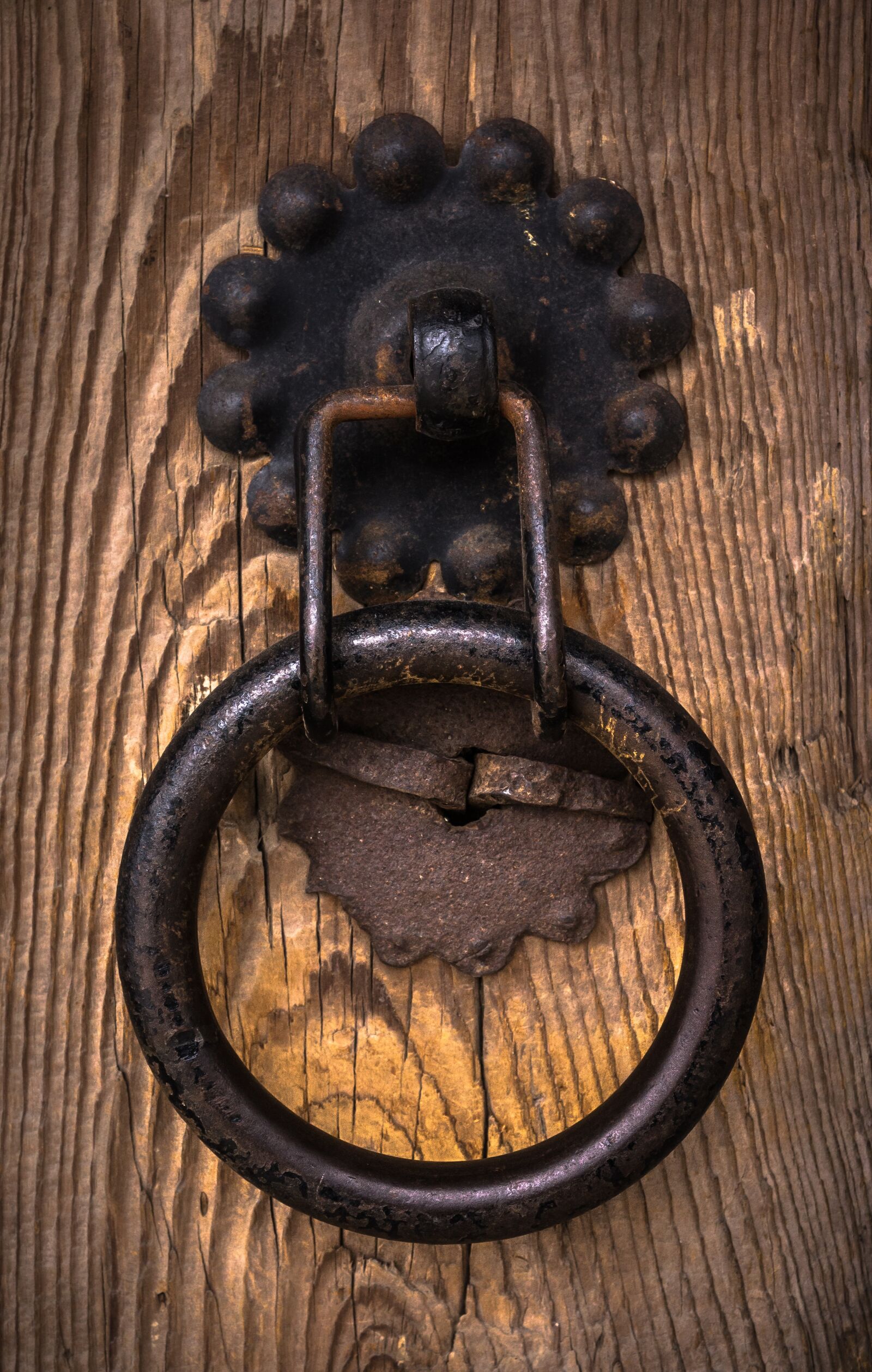Sony Alpha NEX-5N sample photo. Knocker, usd, circle photography