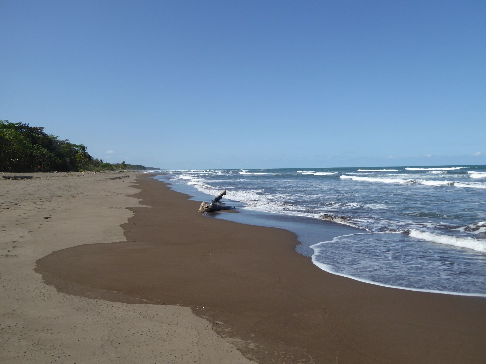 Panasonic DMC-TZ61 sample photo. Central america, costa rica photography