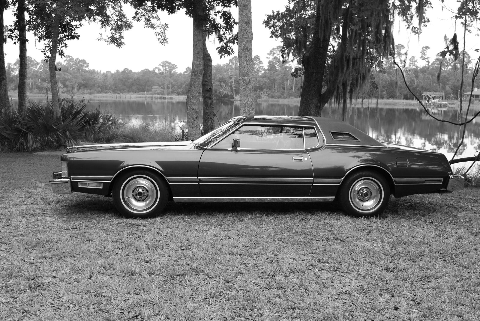 Nikon D60 sample photo. Thunderbird, ford, auto photography