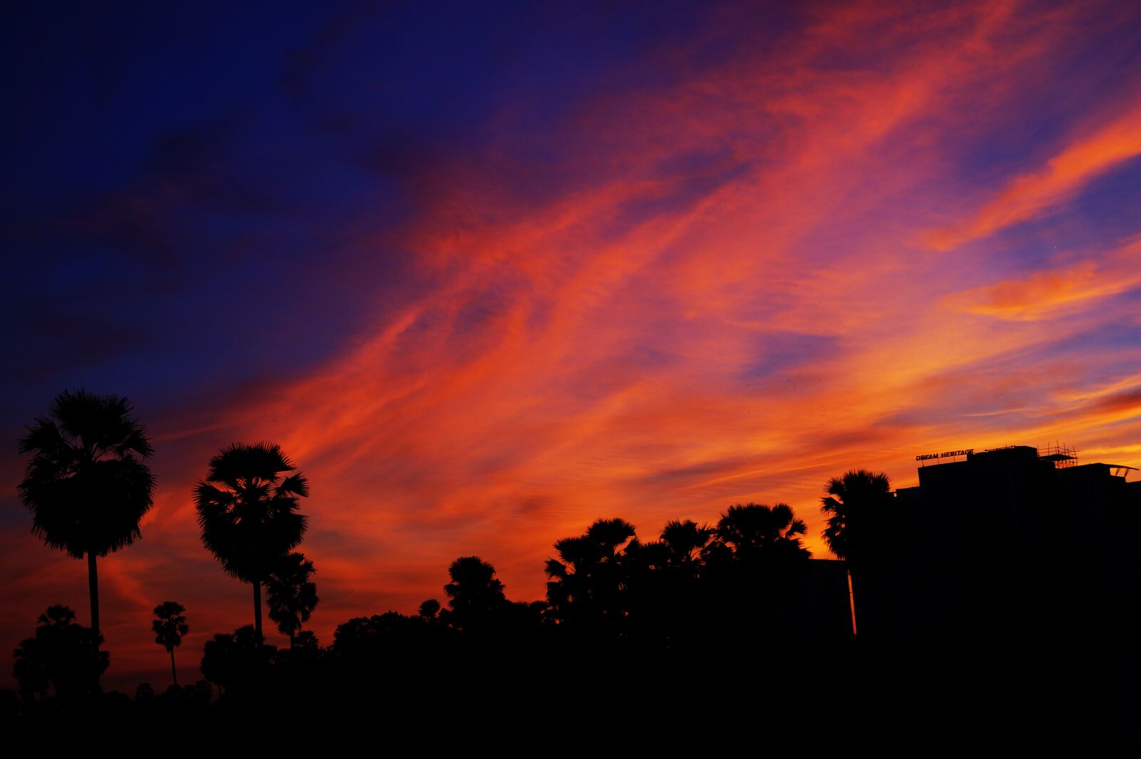 Sony SLT-A58 sample photo. Silhouette, skyporn, cloudporn photography
