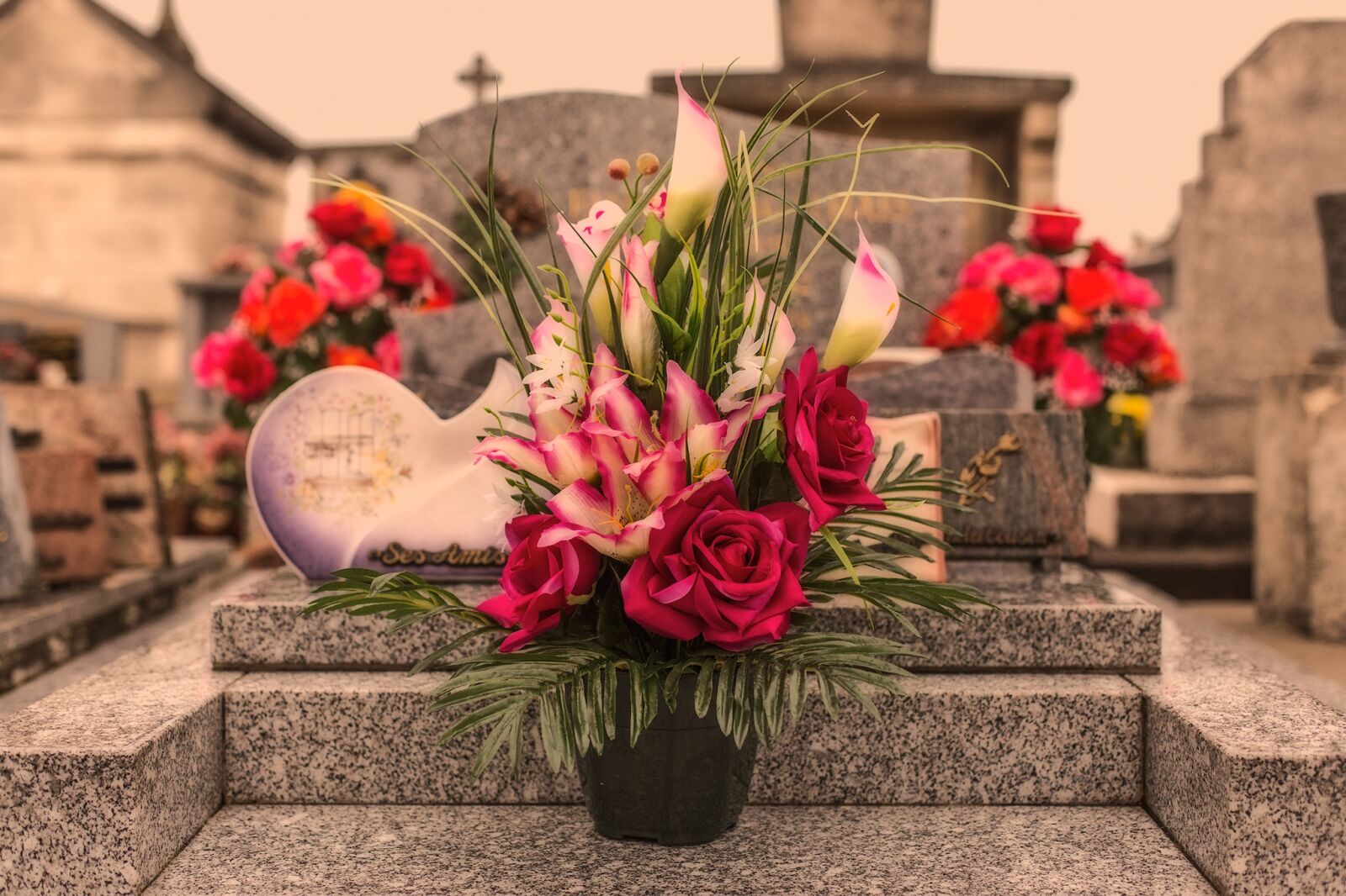 Canon EOS 6D + Canon EF 50mm F1.4 USM sample photo. Toussaint, flowers, red photography
