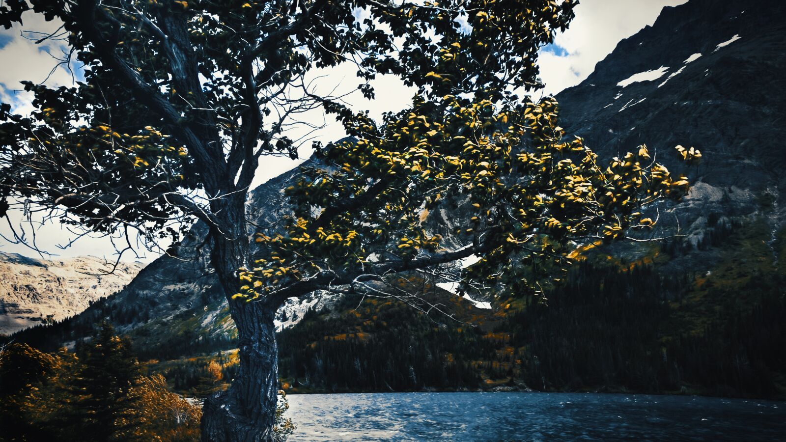 LG Nexus 5X sample photo. Trees, lake, water photography