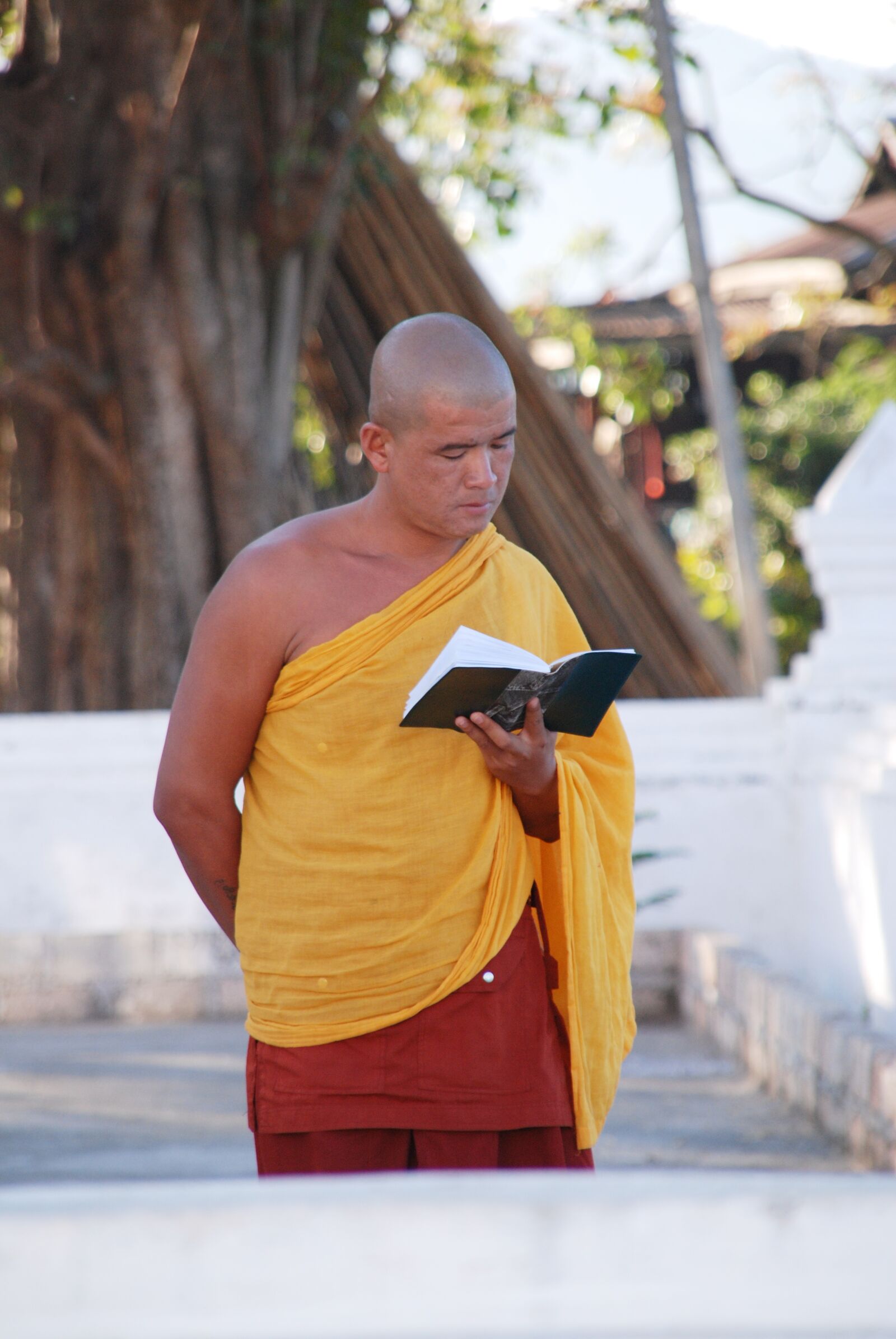 Nikon D80 sample photo. Burma, monk, buddhist photography