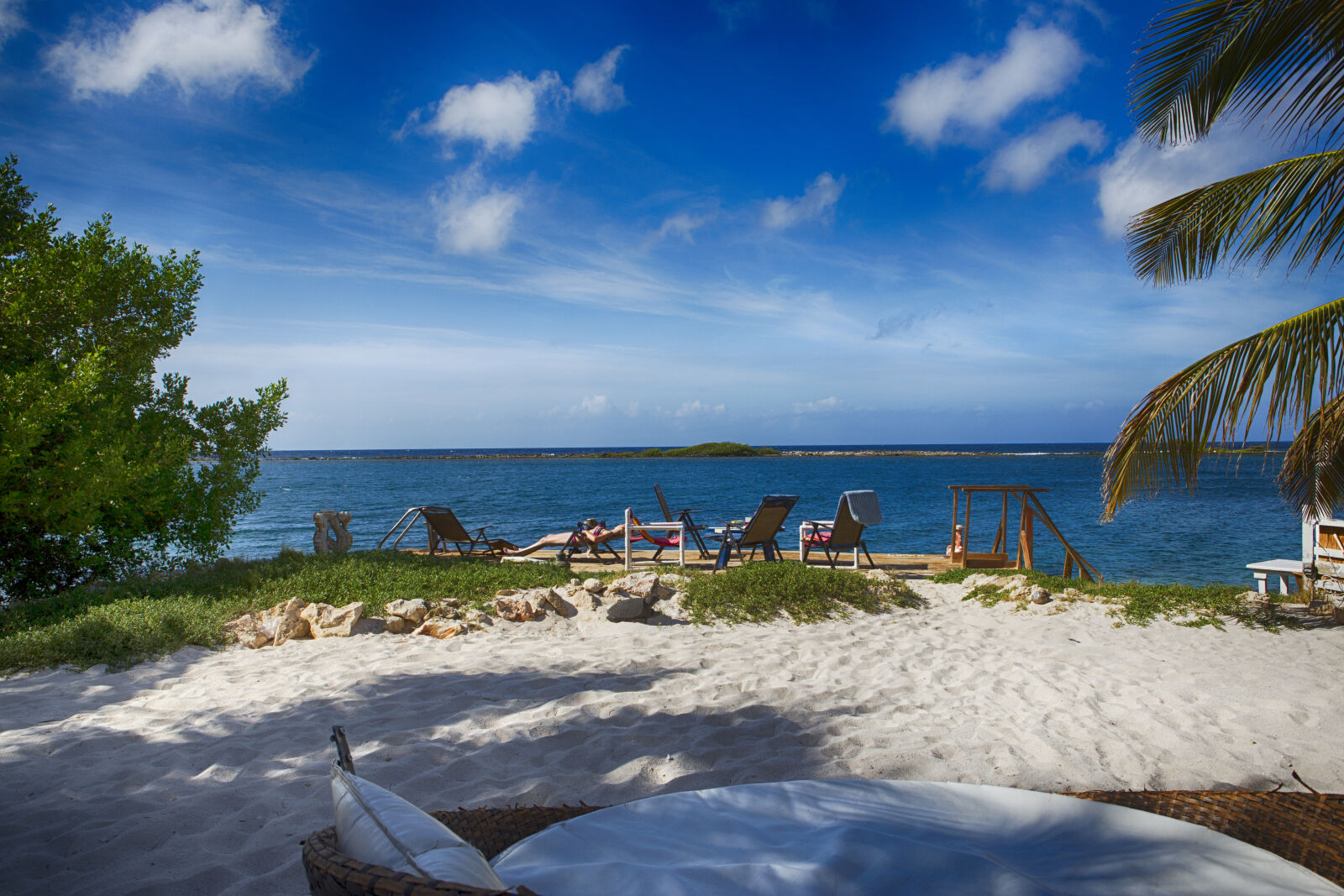 Canon EF 24-70mm F2.8L USM sample photo. Aruba, coral, reef, beach, 2016 photography