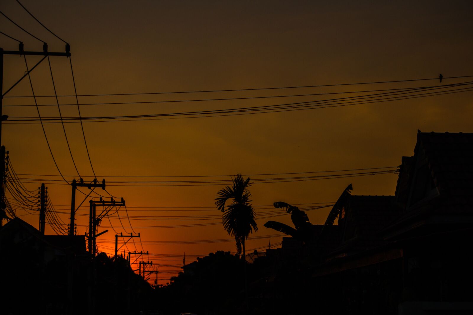 Canon EOS 700D (EOS Rebel T5i / EOS Kiss X7i) sample photo. Sky, west, spring photography
