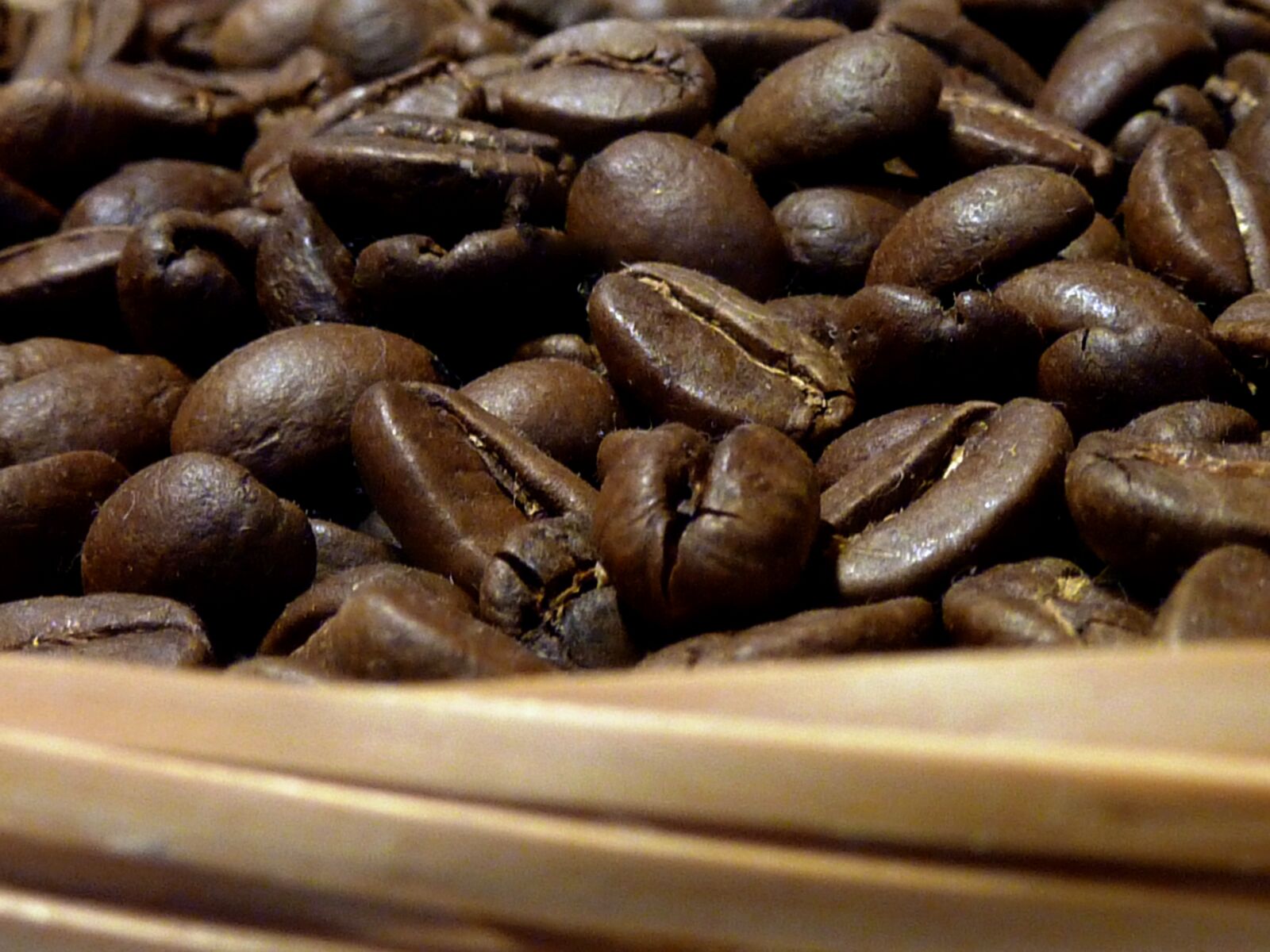 Panasonic DMC-TZ7 sample photo. Coffee, coffee beans, beans photography