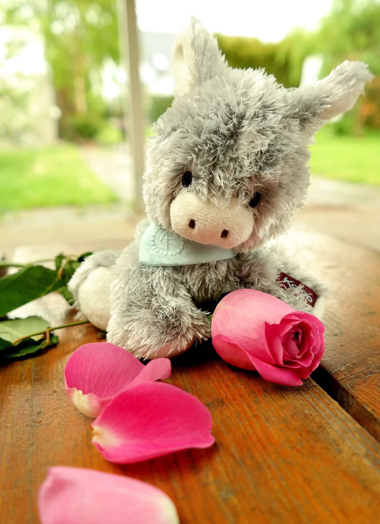 Samsung NX300M sample photo. Donkey, teddy bear, soft photography
