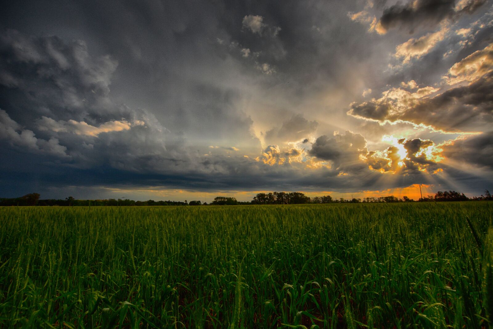 Nikon D5200 sample photo. Landscape, sunset, nature photography