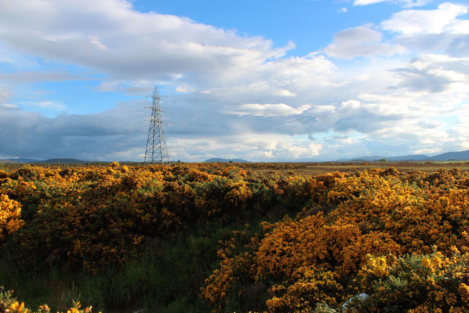 Canon EOS 600D (Rebel EOS T3i / EOS Kiss X5) sample photo. Nature, panorama, landscape photography
