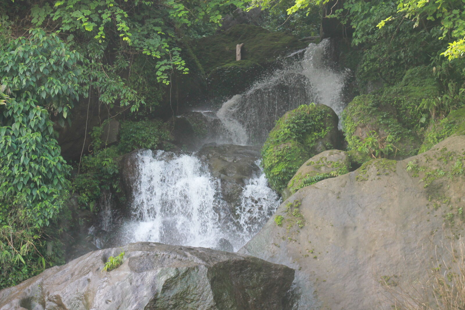 Canon EF 75-300mm f/4-5.6 sample photo