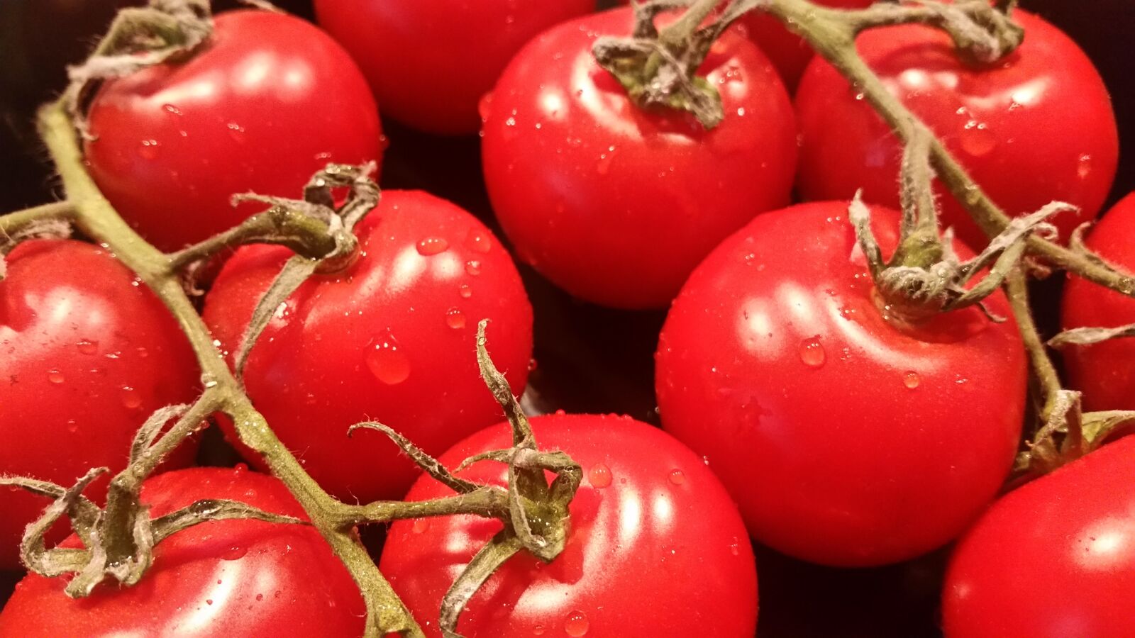 Samsung Galaxy S5 sample photo. Tomatoes, vegetables, red photography