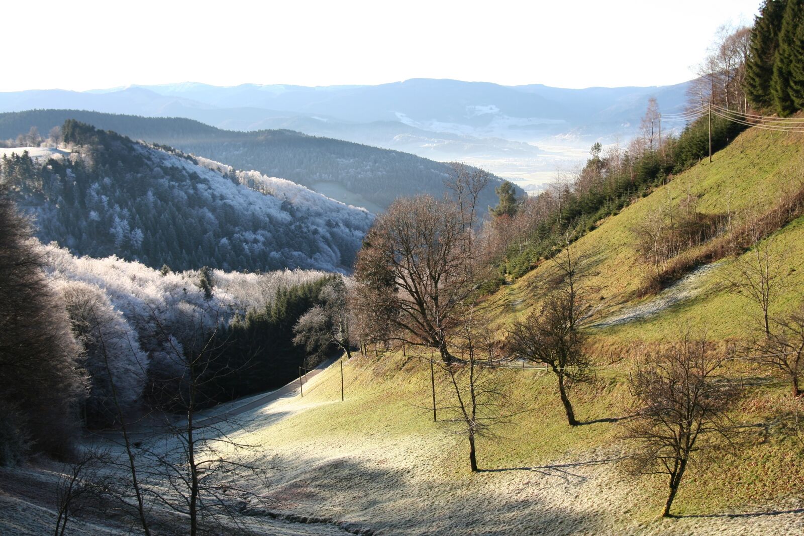 Canon EOS 350D (EOS Digital Rebel XT / EOS Kiss Digital N) sample photo. Valley, morgentau, black forest photography
