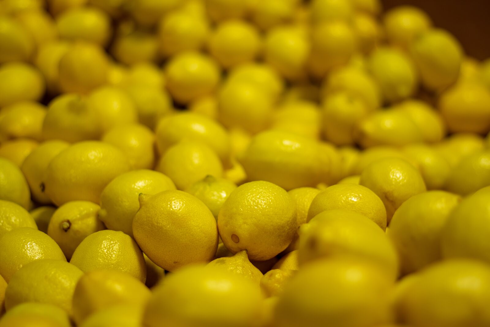 Canon EF 50mm F1.8 STM sample photo. Lemons, market, yellow photography