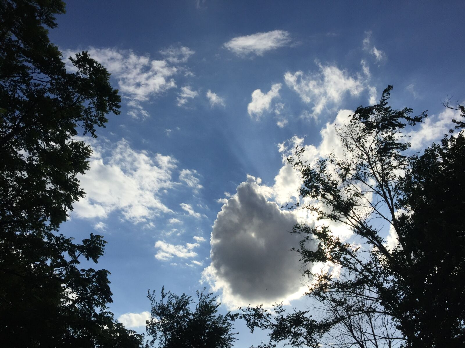 iPhone 6 back camera 4.15mm f/2.2 sample photo