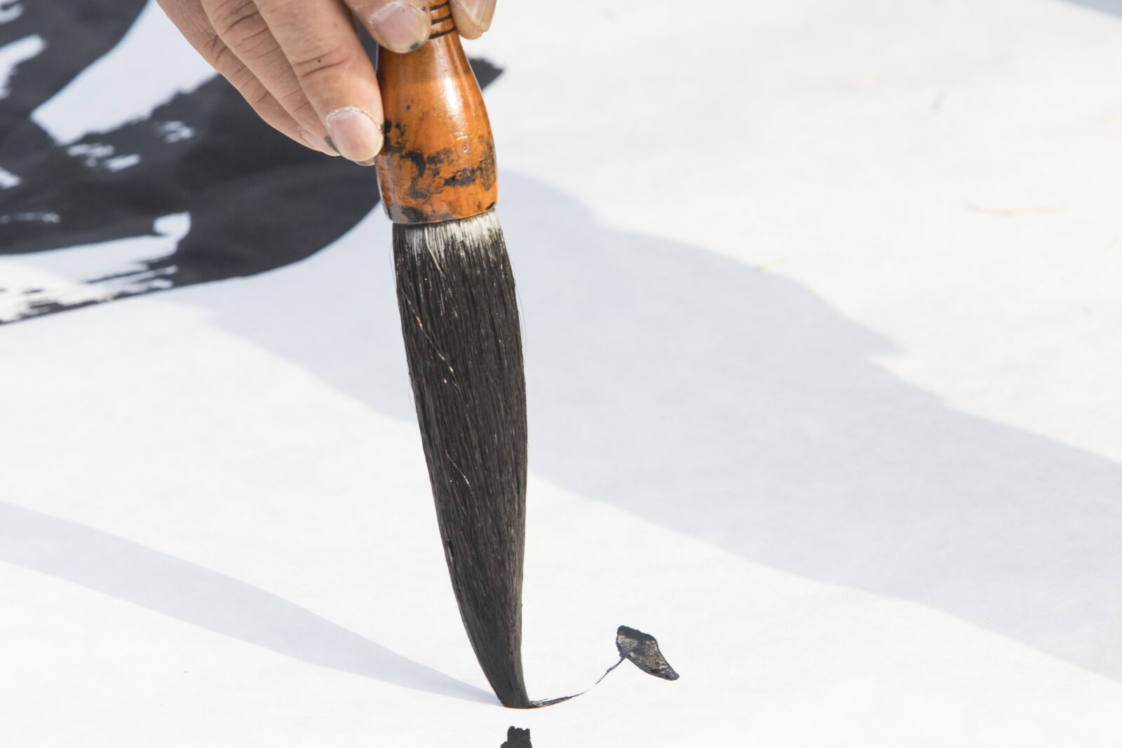 Canon EF 70-200mm F2.8L USM sample photo. Calligraphy, calligraphic, artist photography