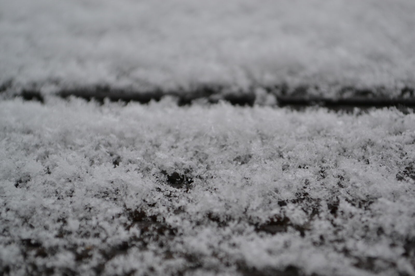 Nikon D3100 sample photo. Mevrouw, s, mylifewiths, snow photography