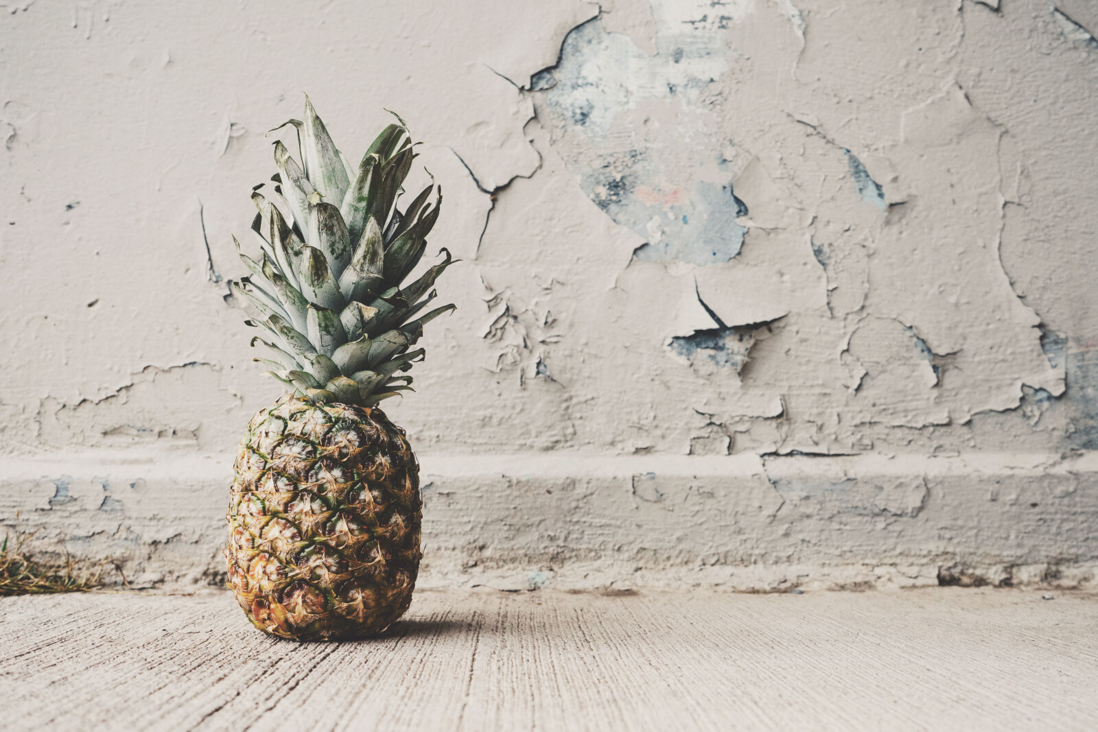 Sony a7 II + Sony FE 28-70mm F3.5-5.6 OSS sample photo. Pineapple, beside, concrete, wall photography