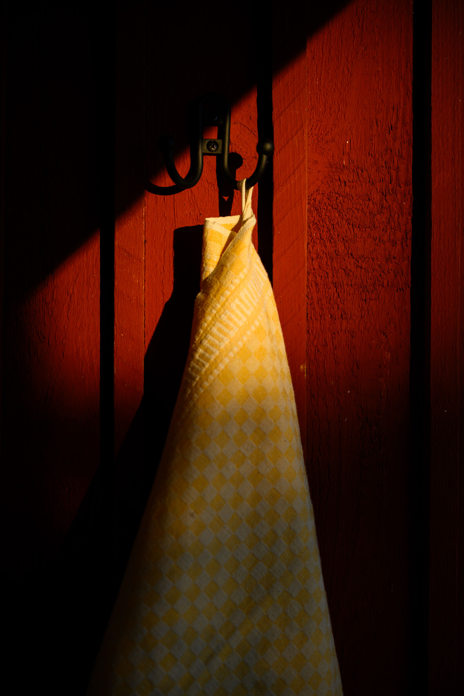 Nikon Z8 sample photo. Towel sunshine photography