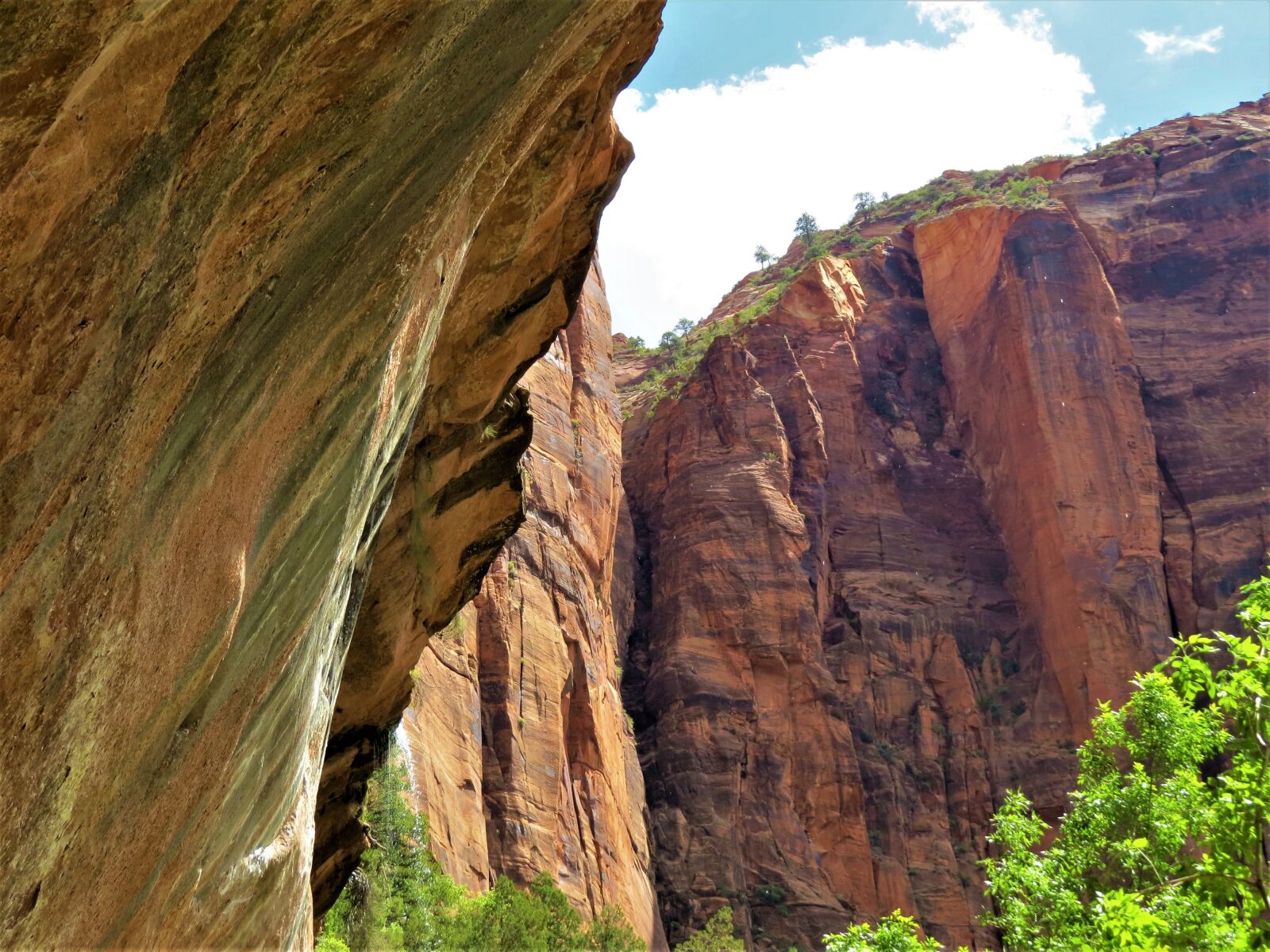 Canon PowerShot SX50 HS sample photo. Cliff face, utah, hiking photography