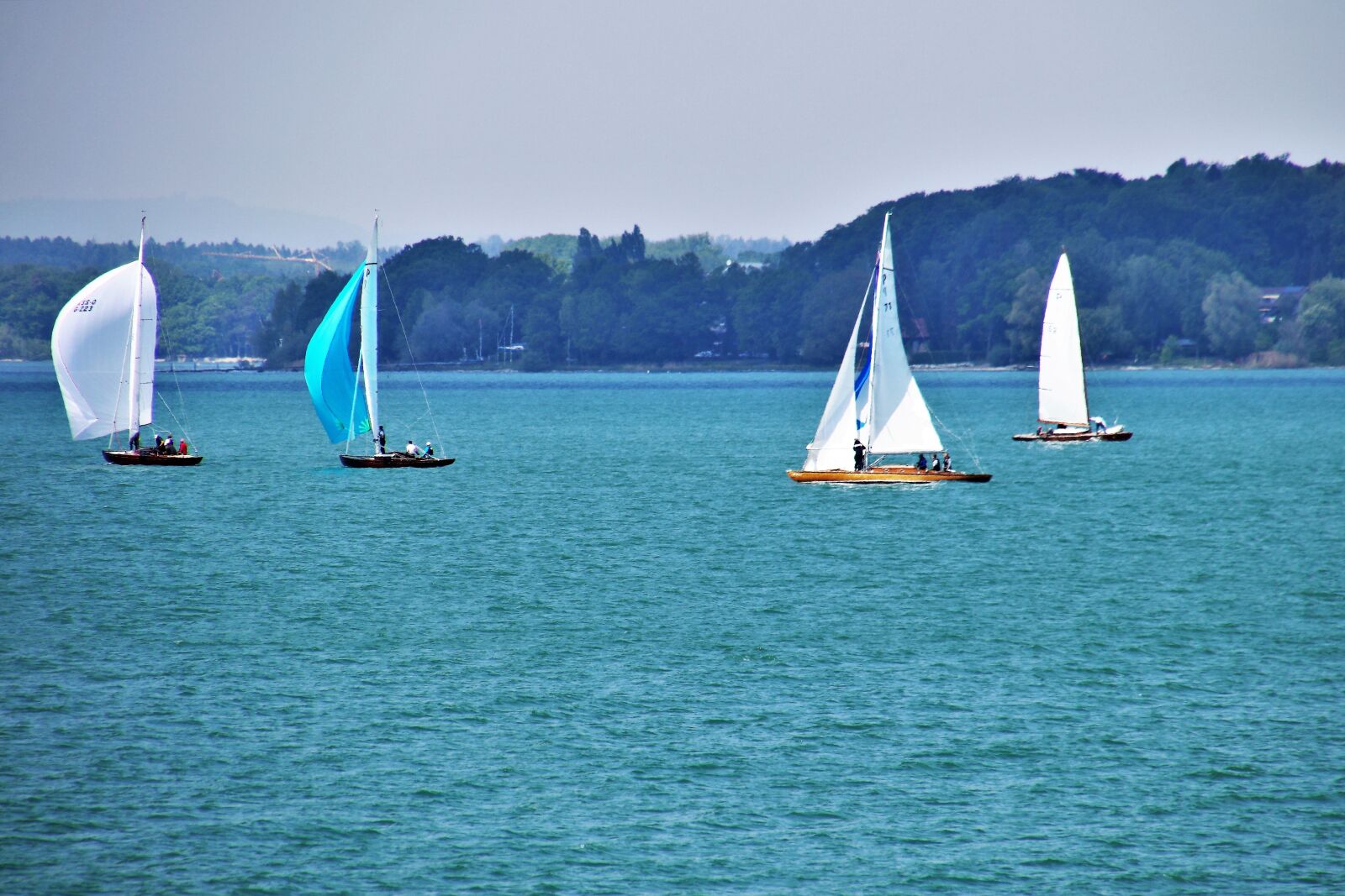 Canon EOS 80D sample photo. Regatta, lake, water photography
