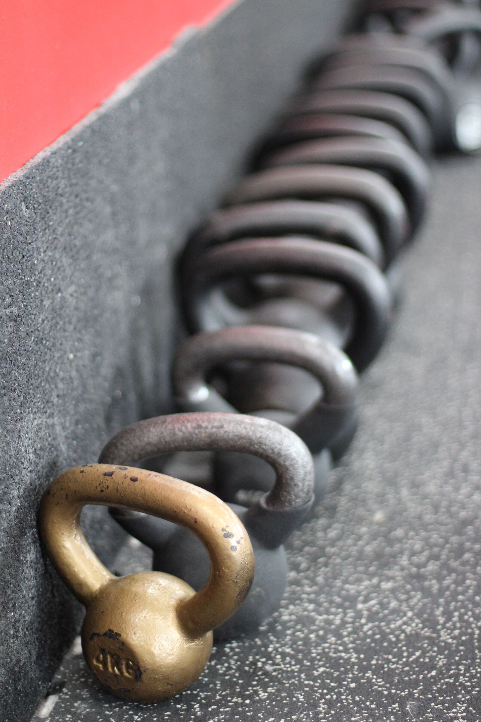 Canon EOS 600D (Rebel EOS T3i / EOS Kiss X5) + Canon EF 50mm F1.4 USM sample photo. Dumbbells, black, gold photography
