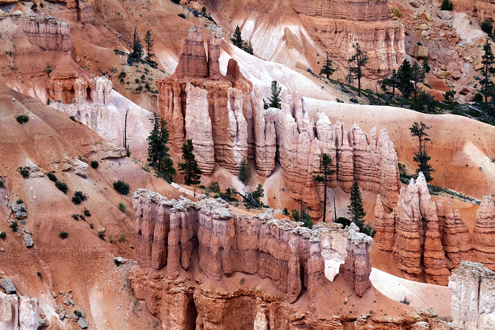 Canon EOS 7D sample photo. Bryce canyon, paunsaugunt plateau photography