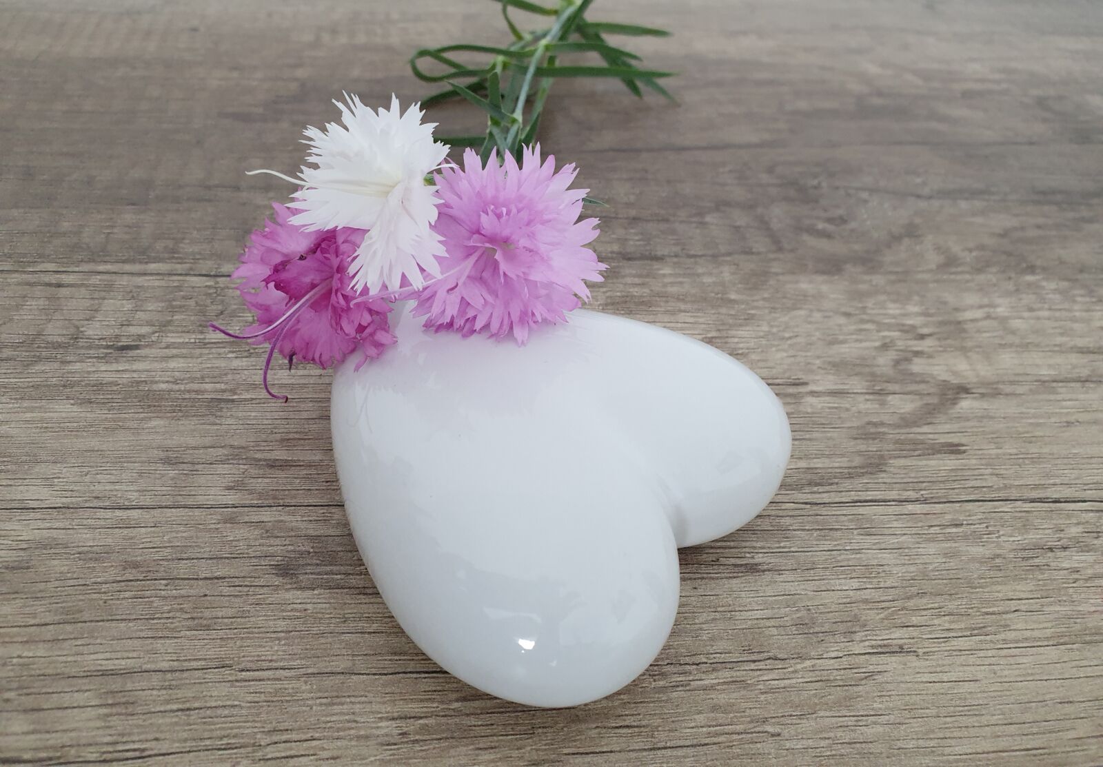 Samsung Galaxy S9+ sample photo. Hochzeitstag, liebe, hintergrund photography