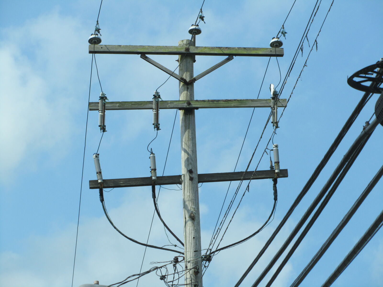 Canon PowerShot SX210 IS sample photo. Polite power pole photography