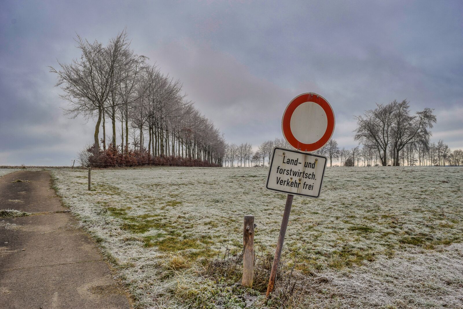 Nikon D3300 sample photo. Landscape, nature, winter photography