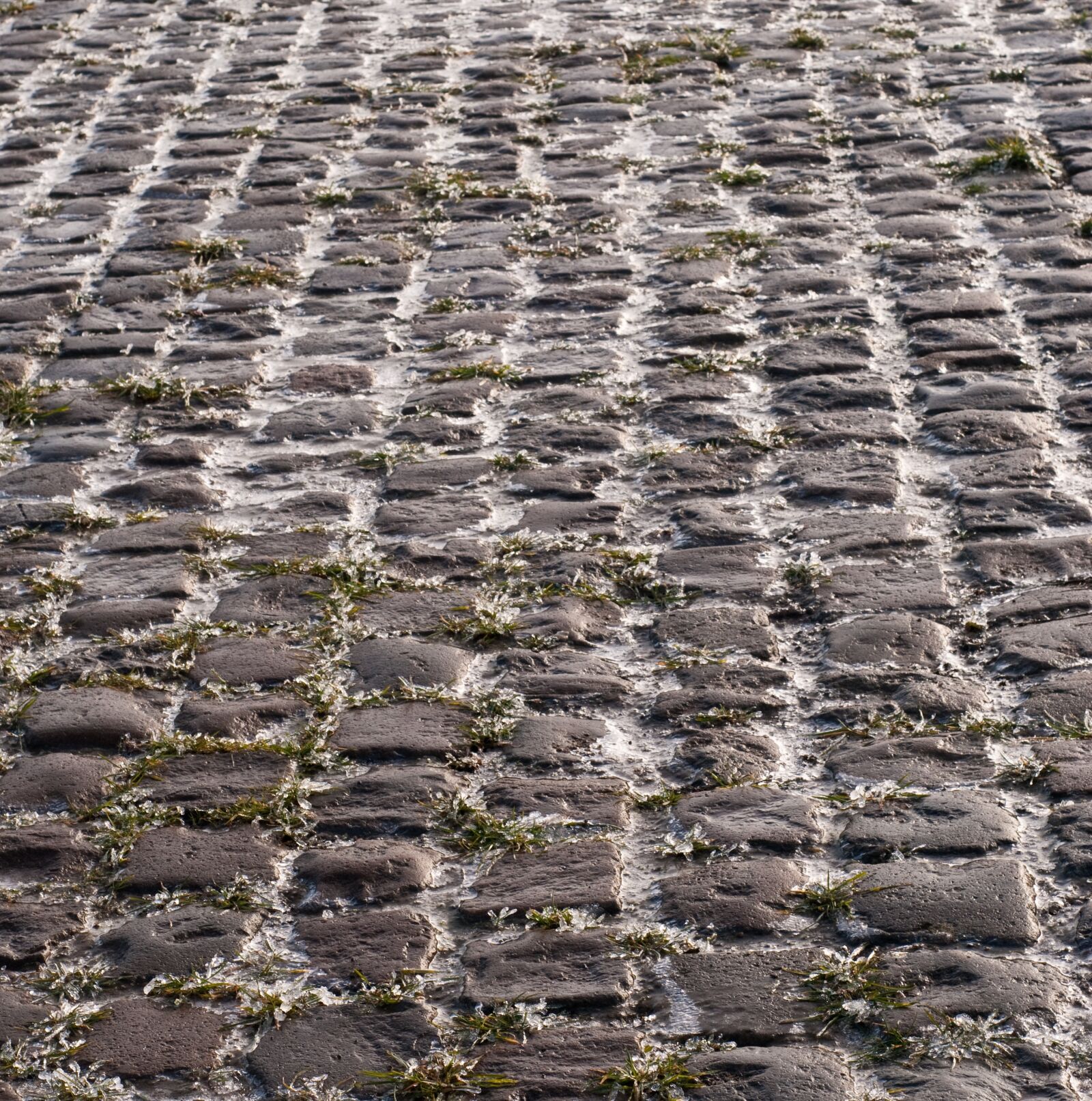 Nikon D300 sample photo. Pavement, gel, road photography