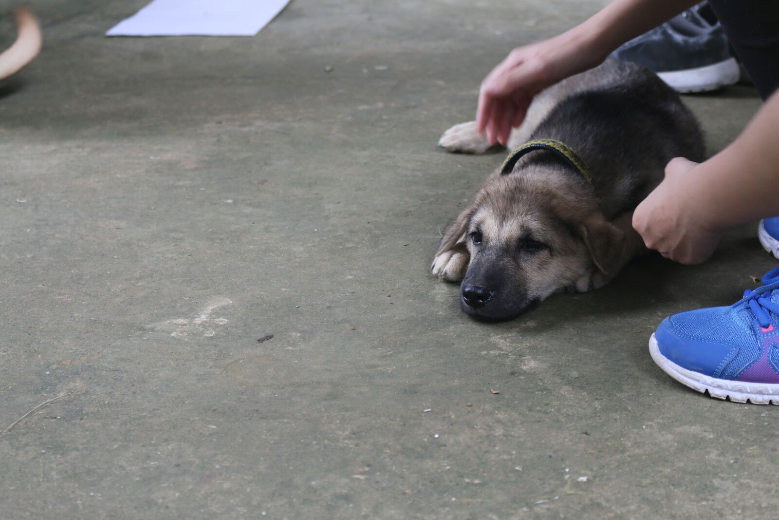 Canon EOS 70D sample photo