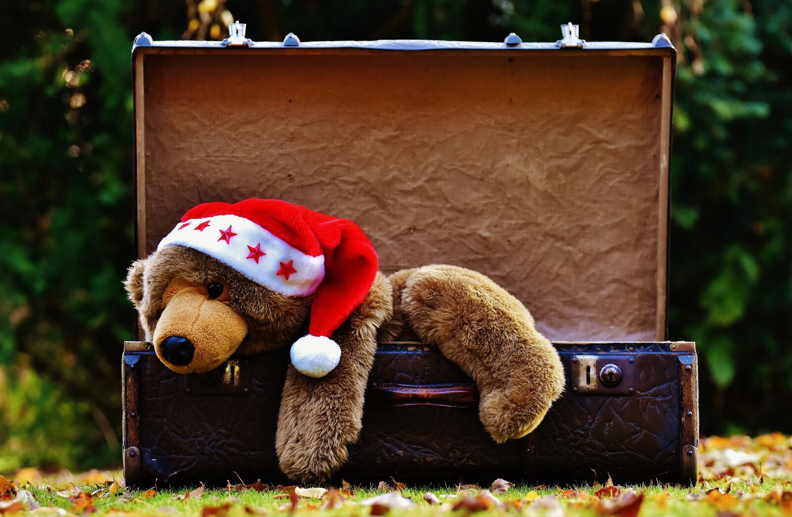 Nikon D7200 sample photo. Christmas, luggage, antique photography