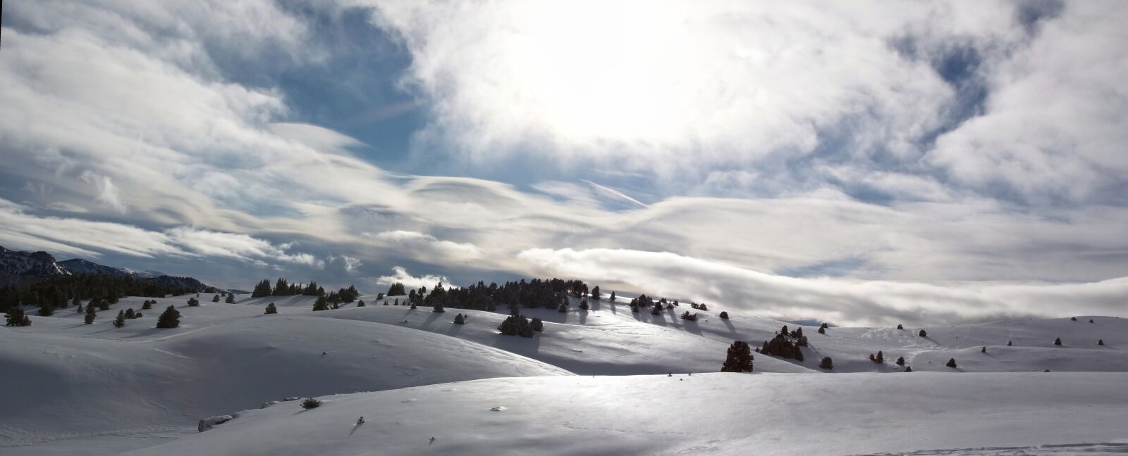 Nikon D90 sample photo. Color, winter, snow photography