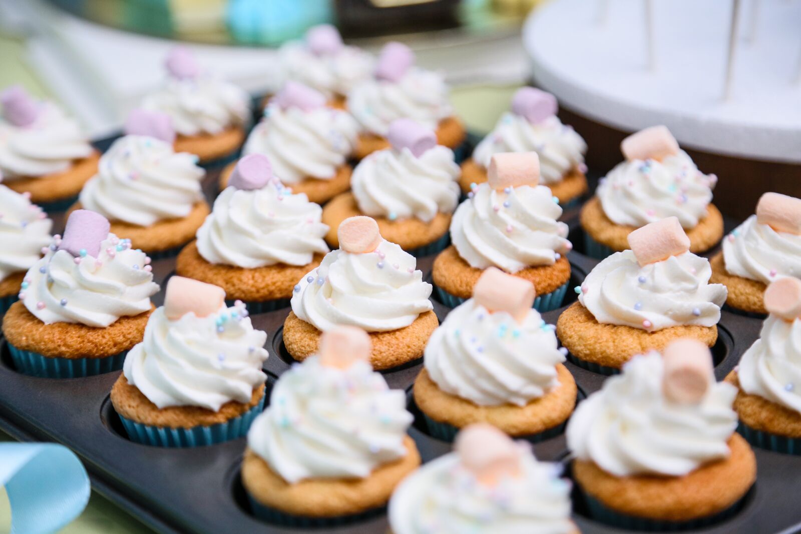 Canon EOS 5D Mark III sample photo. Cake, cream, dessert photography