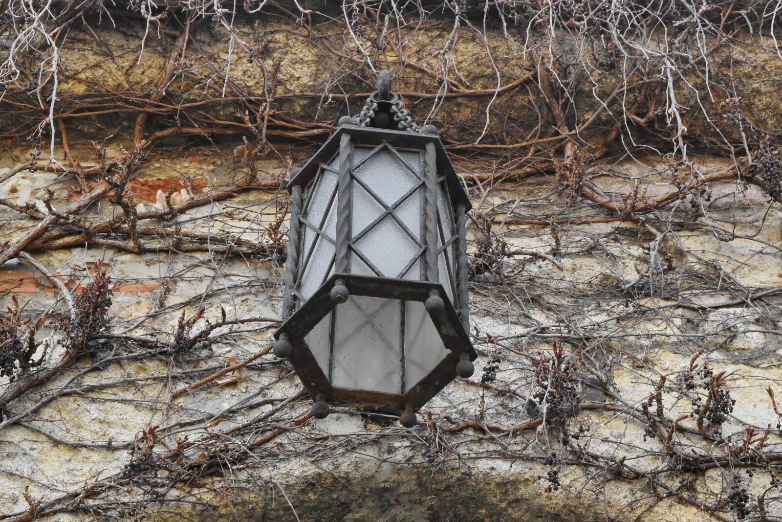 Nikon D5500 sample photo. Cast iron, lantern, stone photography