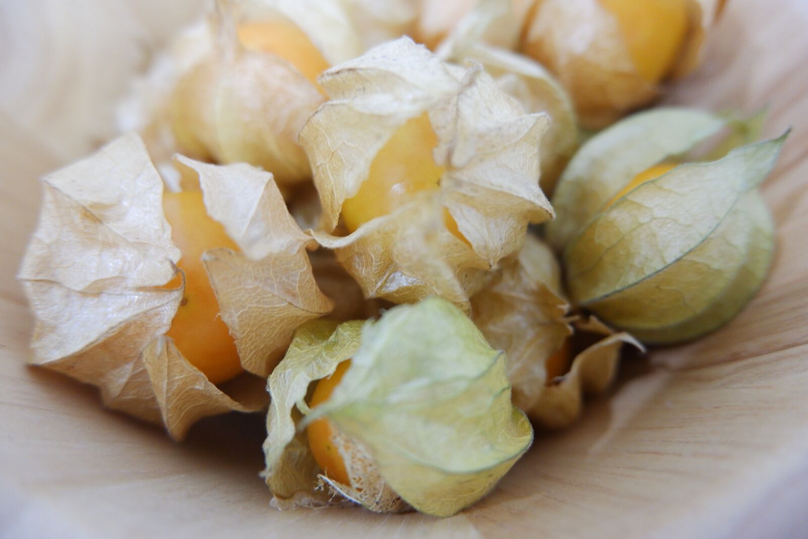 Fujifilm X-A5 sample photo. Cape goose berries, unsteadily photography