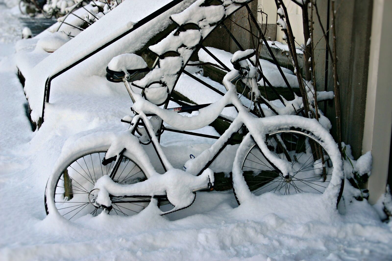 Canon EOS 300D (EOS Digital Rebel / EOS Kiss Digital) sample photo. Snow, winter, cold photography