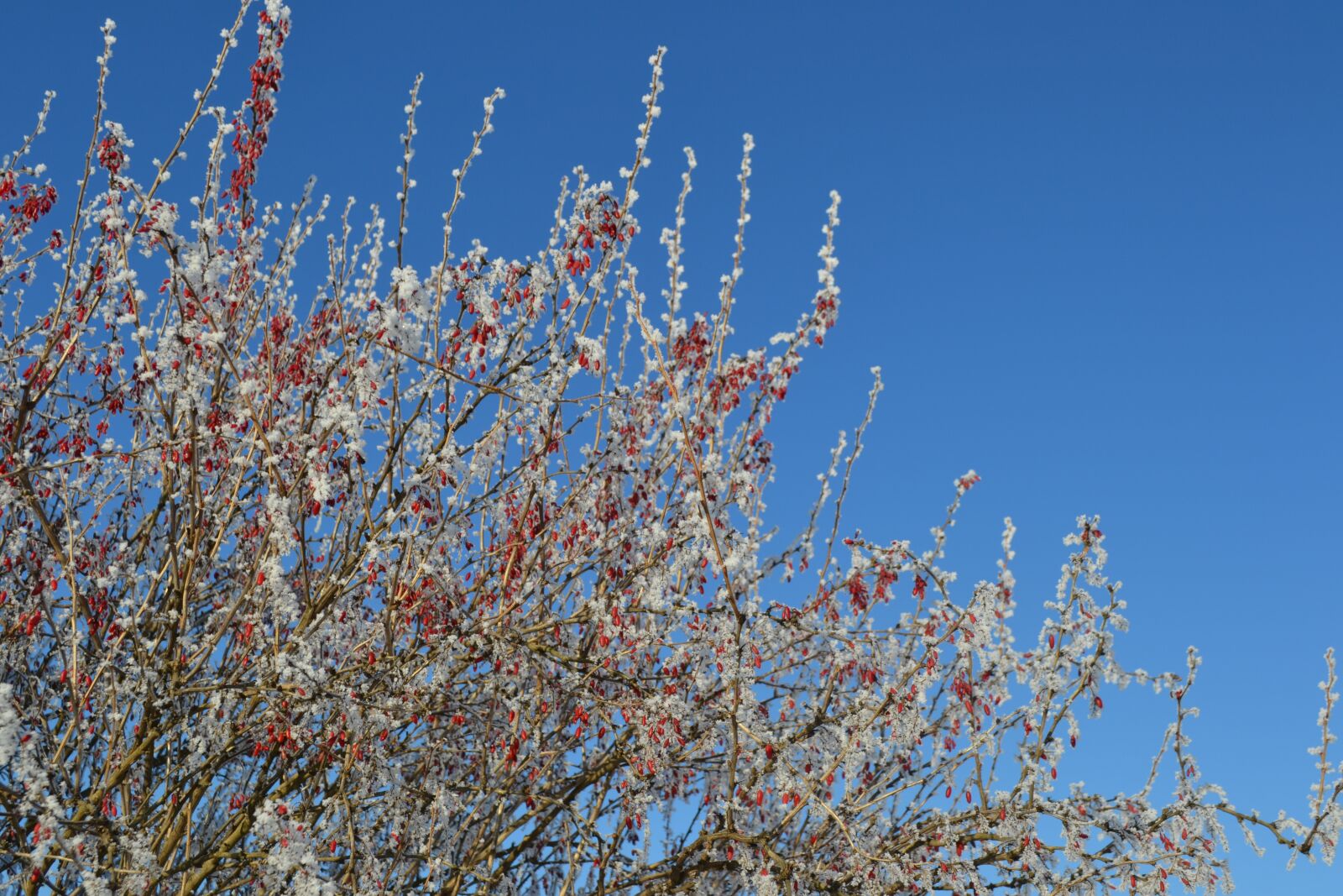 Nikon D3100 sample photo. Russia, nature, road photography